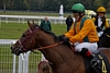 _DSC0571.JPG