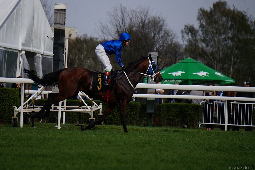 DSC00168.JPG