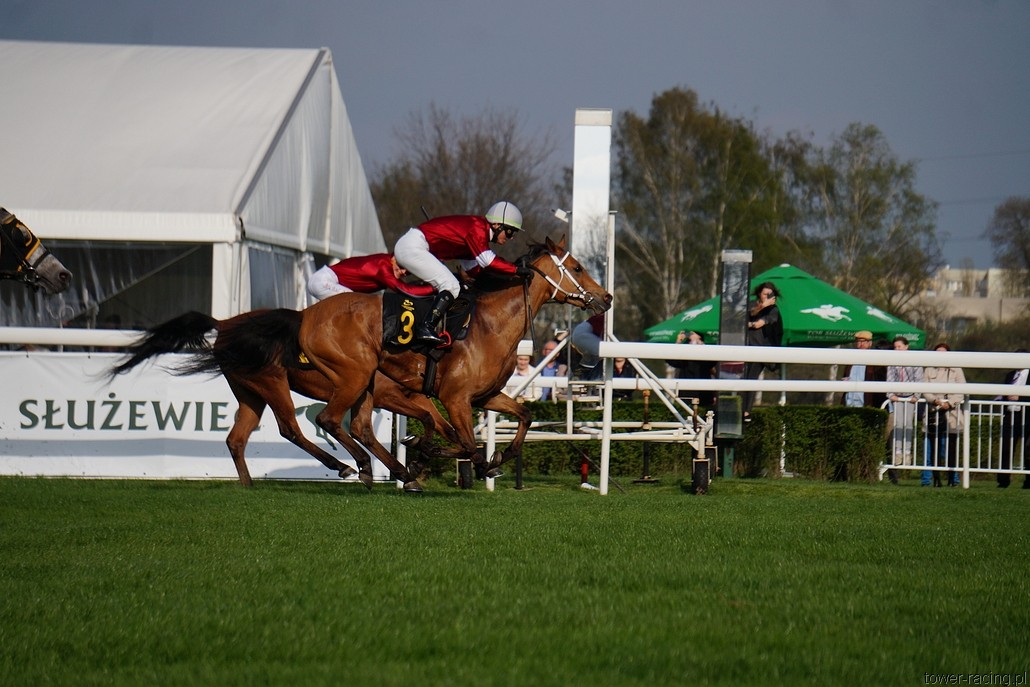 DSC00311.JPG