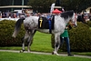 DSC00215.JPG