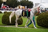 DSC00216.JPG