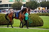 DSC00217.JPG
