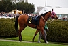 DSC00219.JPG