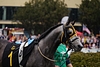 DSC00221.JPG