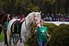 DSC00226.JPG