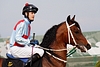 DSC00297.JPG
