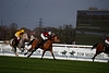 DSC00306.JPG