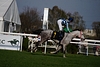 DSC00315.JPG