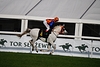 DSC00317.JPG