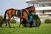 DSC00335.JPG