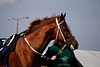 DSC00339.JPG