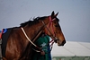 DSC00344.JPG