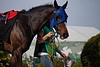 DSC00345.JPG