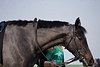 DSC00347.JPG