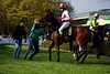 DSC00358.JPG