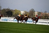DSC00370.JPG