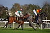DSC00377.JPG