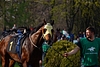 DSC00391.JPG
