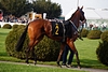 DSC00397.JPG