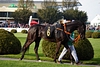 DSC00401.JPG