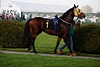 DSC00402.JPG