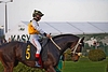 DSC00404.JPG