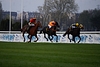 DSC00412.JPG