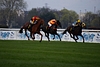 DSC00413.JPG