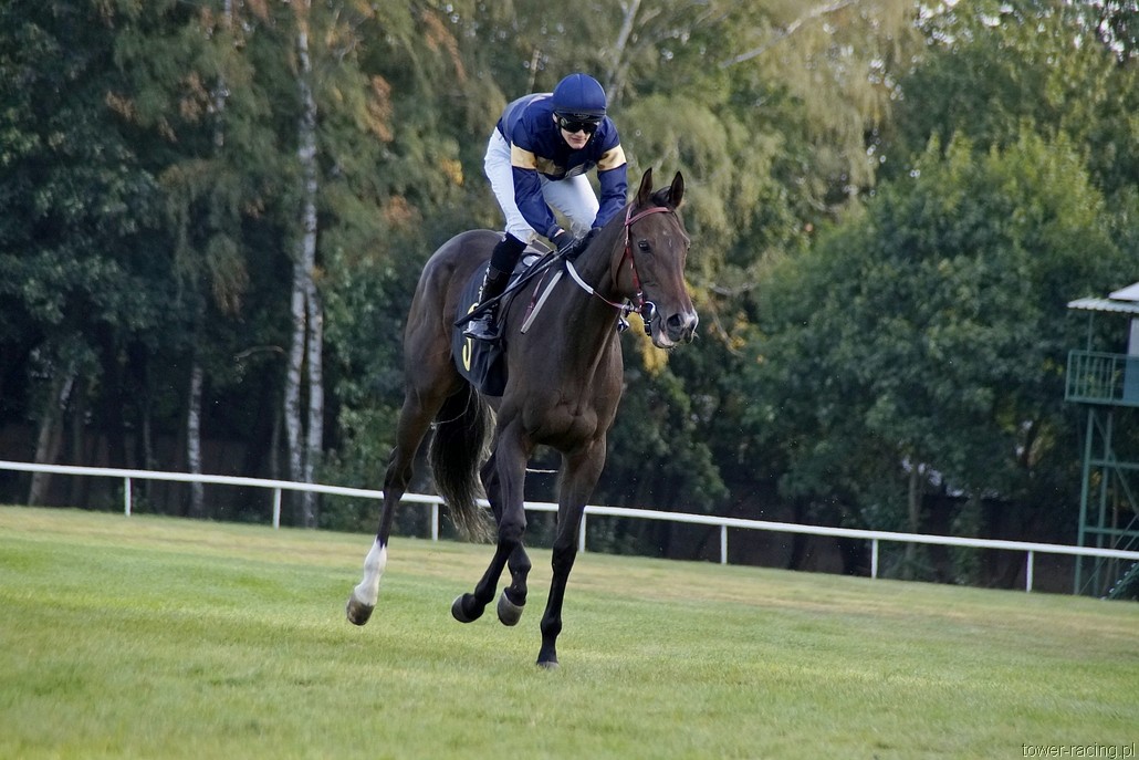 _DSC3978.JPG