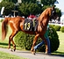 DSC00055.JPG