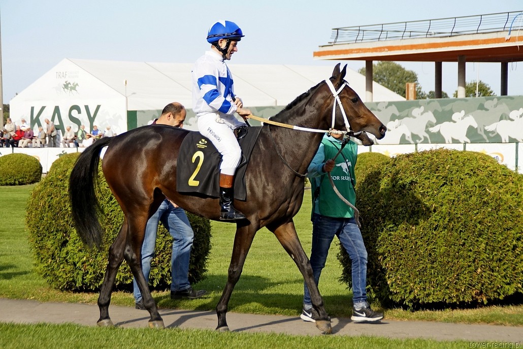 _DSC4174.JPG