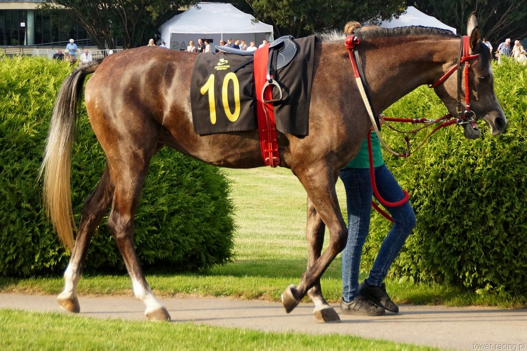 DSC00999.JPG