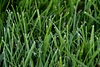 DSC00829.JPG