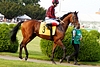 DSC00879.JPG