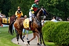 DSC00887.JPG