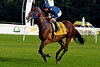 DSC00897.JPG