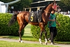 DSC00993.JPG