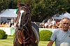 DSC01005.JPG