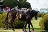 DSC00251.JPG