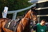 DSC00253.JPG