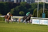 DSC00321.JPG