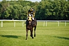 DSC00337.JPG