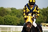 DSC00338.JPG