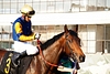DSC00373.JPG