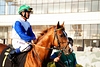 DSC00376.JPG