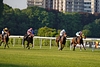 DSC00381.JPG