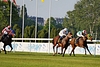 DSC00384.JPG