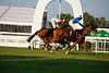 DSC00394.JPG