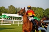DSC00397.JPG