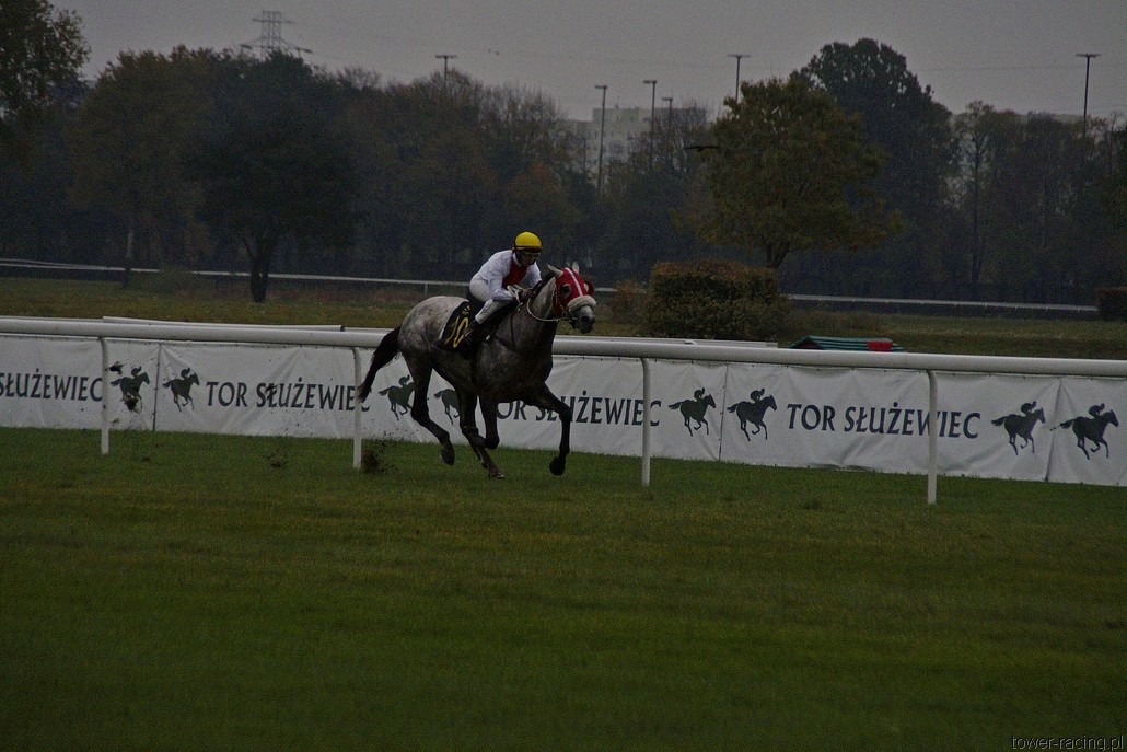 _DSC0518.JPG
